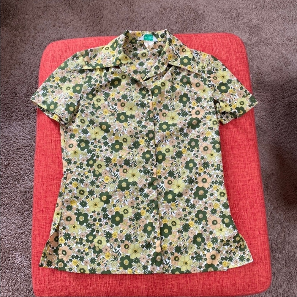 VTG ALEX COLMAN California Green Floral Dagger Collar Blouse